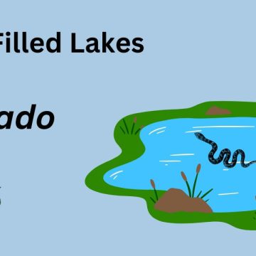 These Colorado Lakes Are So Full of Snakes, You will Get Chills