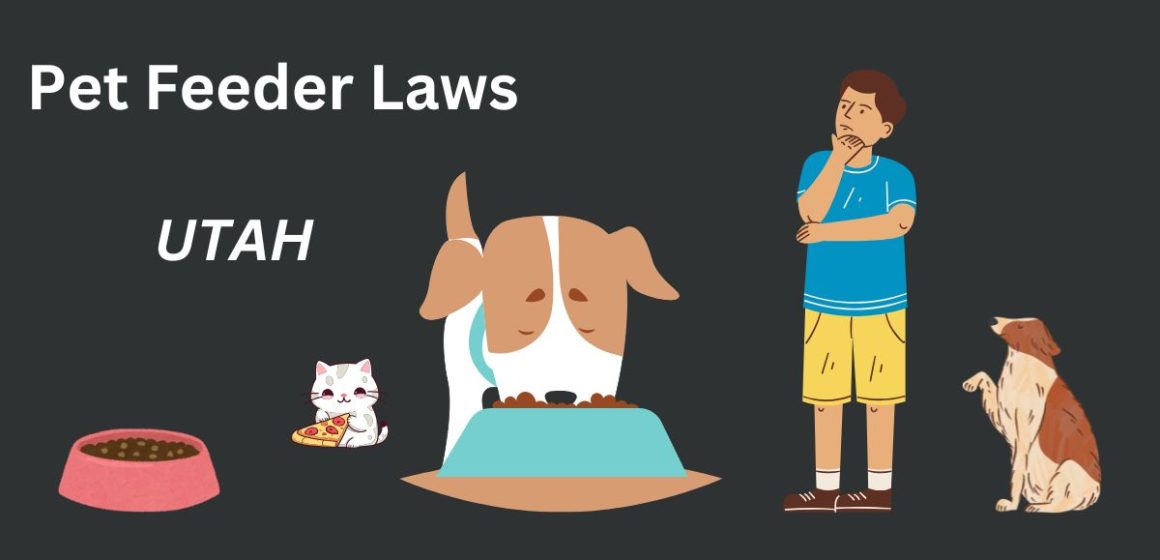 Utah's New Pet Feeder Law Important Changes and Updates for Owners