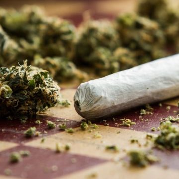Is Cannabis Legal in Colorado A Deep Dive Into Medical and Recreational Marijuana Regulations
