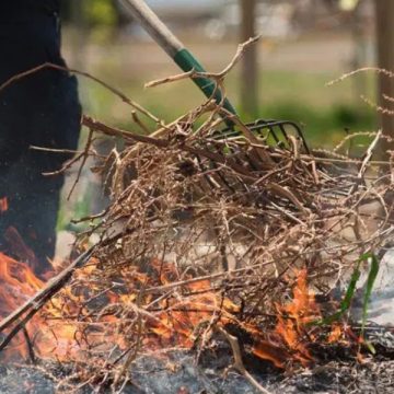 Is It Legal to Burn Yard Waste in North Carolina Rules, Permits, and Fire Safety Explained