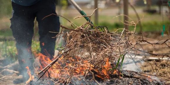Is It Legal to Burn Yard Waste in North Carolina Rules, Permits, and Fire Safety Explained