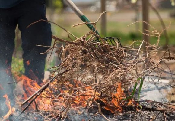 Is It Legal to Burn Yard Waste in North Carolina Rules, Permits, and Fire Safety Explained