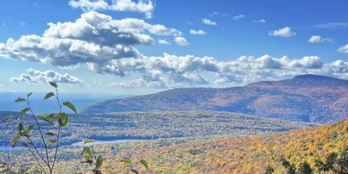 10 Things You Didn't Expect to Miss After Leaving New York
