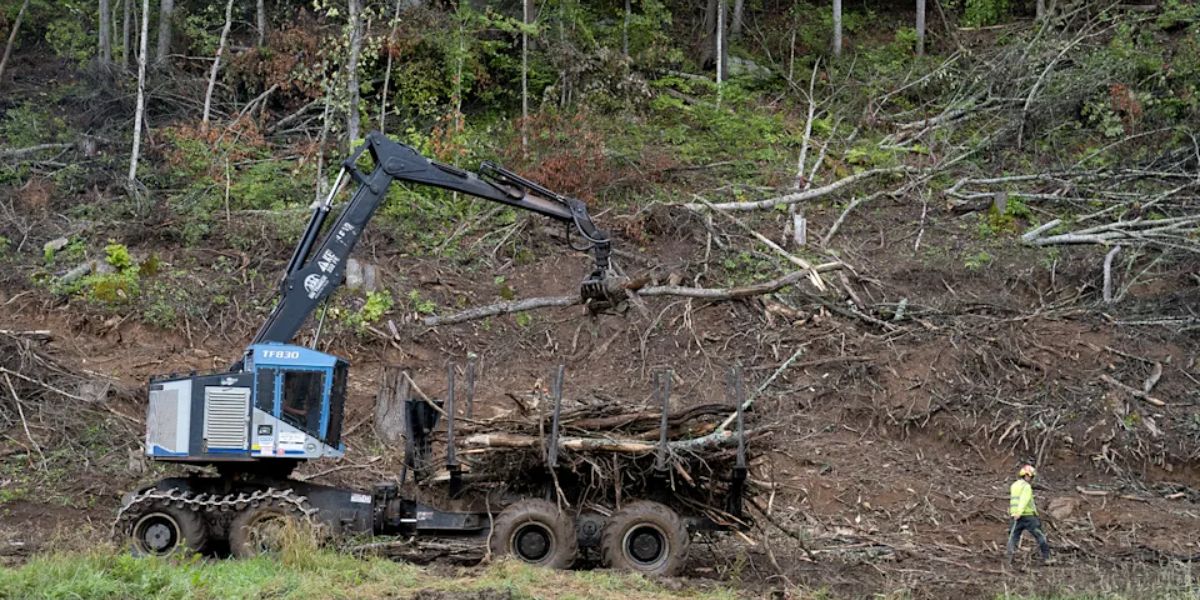 The government stepped in to help clean up a disaster in North Carolina. Then they made another one