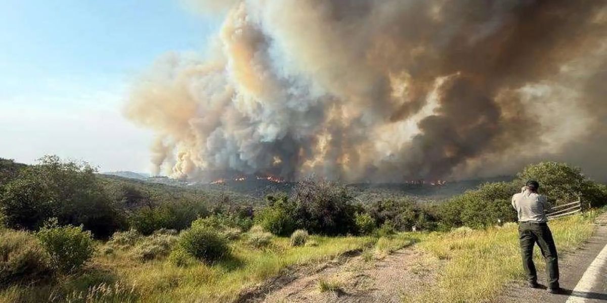 Update on the South Rim Fire in Montrose County